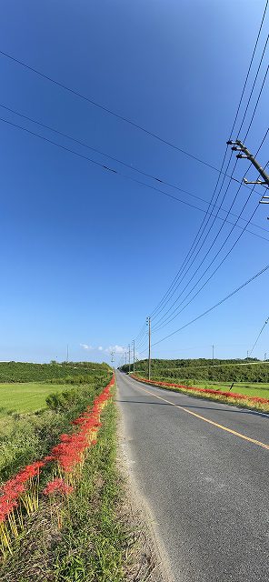 201007